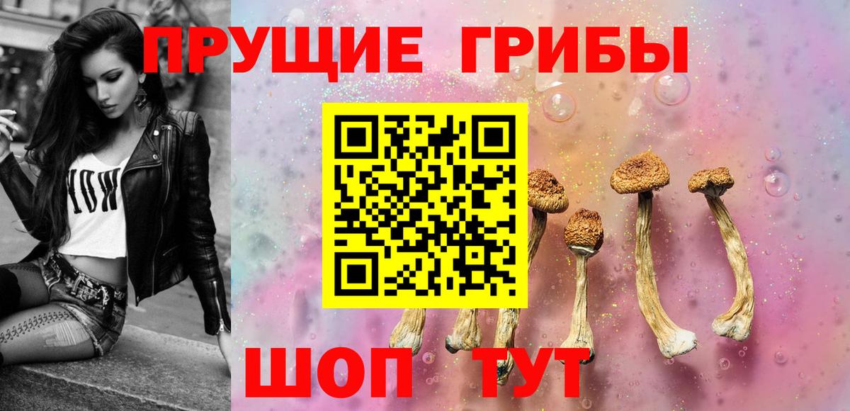 Галлюциногенные грибы ЛСД  купить закладку  Россошь  Вход с VPN 
