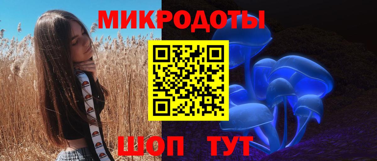 Псилоцибиновые грибы мицелий Россошь